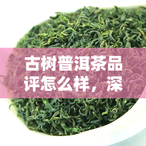 古树普洱茶品评怎么样，深度解析：古树普洱茶的品评方法与特点