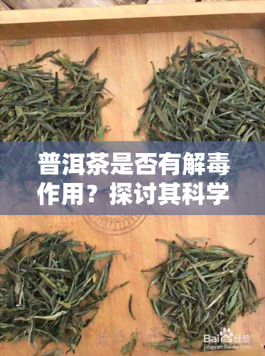 普洱茶是否有解作用？探讨其科学依据与实践效果