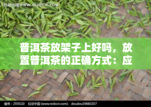 普洱茶放架子上好吗，放置普洱茶的正确方式：应该放在架子上吗？