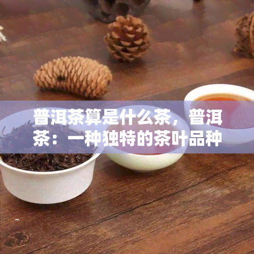 普洱茶算是什么茶，普洱茶：一种独特的茶叶品种，属于什么类型的茶呢？