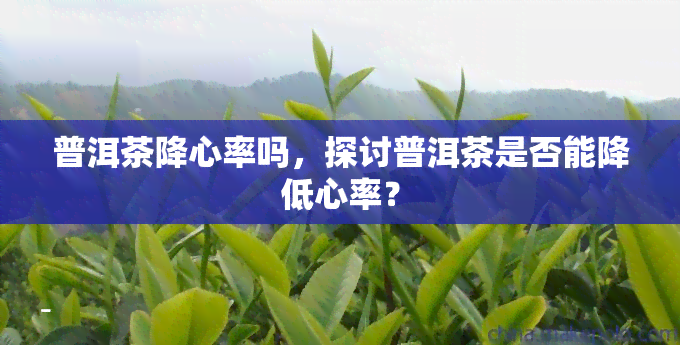 普洱茶降心率吗，探讨普洱茶是否能降低心率？