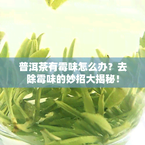 普洱茶有霉味怎么办？去除霉味的妙招大揭秘！