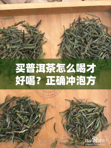 买普洱茶怎么喝才好喝？正确冲泡方法与技巧分享