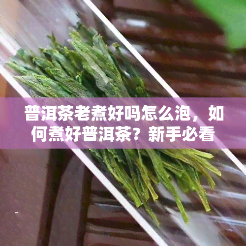 普洱茶老煮好吗怎么泡，如何煮好普洱茶？新手必看的冲泡技巧！