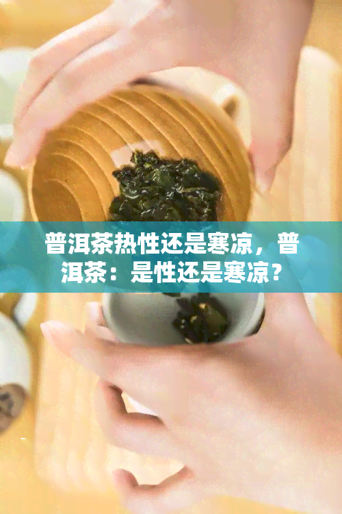 普洱茶热性还是寒凉，普洱茶：是性还是寒凉？