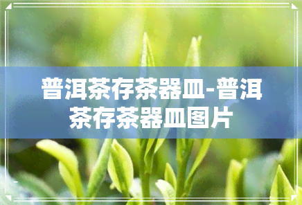 普洱茶存茶器皿-普洱茶存茶器皿图片