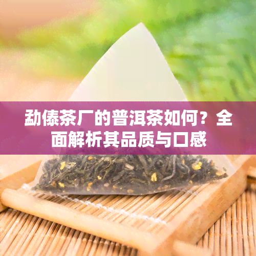 勐傣茶厂的普洱茶如何？全面解析其品质与口感