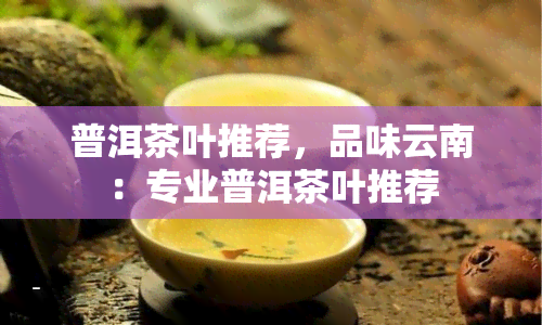 普洱茶叶推荐，品味云南：专业普洱茶叶推荐