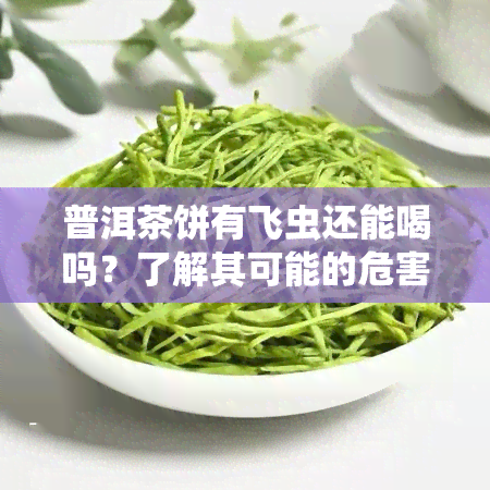 普洱茶饼有飞虫还能喝吗？了解其可能的危害与处理方法