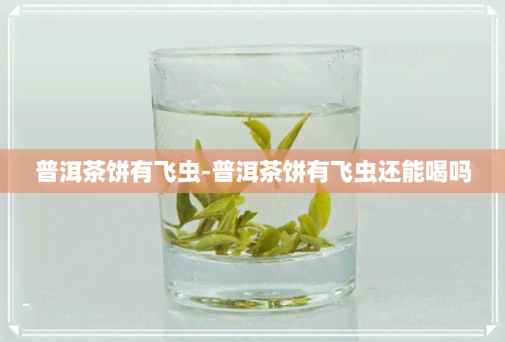 普洱茶饼有飞虫-普洱茶饼有飞虫还能喝吗