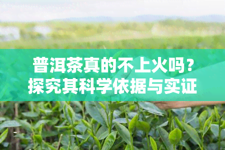 普洱茶真的不上火吗？探究其科学依据与实证效果