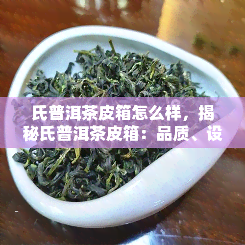 氏普洱茶皮箱怎么样，揭秘氏普洱茶皮箱：品质、设计与实用性的全面评测