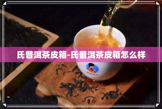 氏普洱茶皮箱-氏普洱茶皮箱怎么样