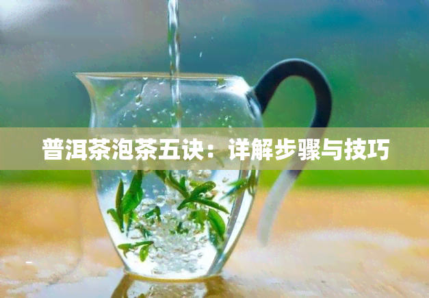 普洱茶泡茶五诀：详解步骤与技巧