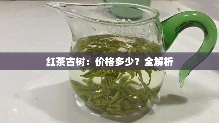 红茶古树：价格多少？全解析