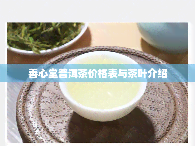 善心堂普洱茶价格表与茶叶介绍