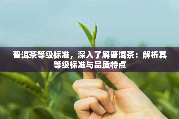 普洱茶等级标准，深入了解普洱茶：解析其等级标准与品质特点