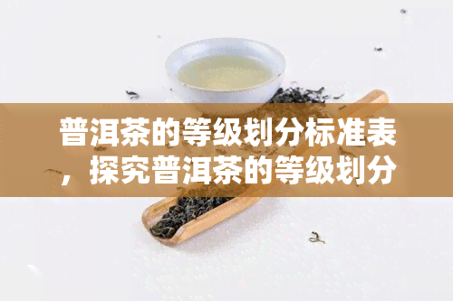 普洱茶的等级划分标准表，探究普洱茶的等级划分标准：一份详细指南