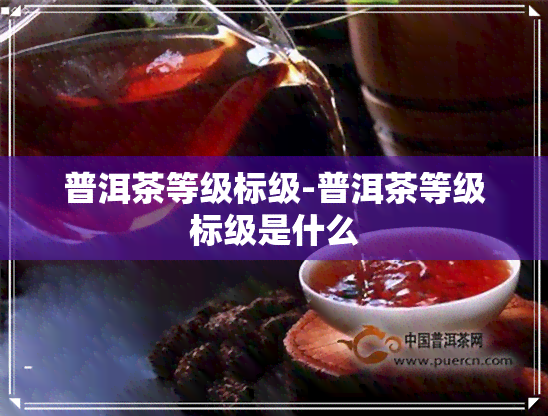 普洱茶等级标级-普洱茶等级标级是什么