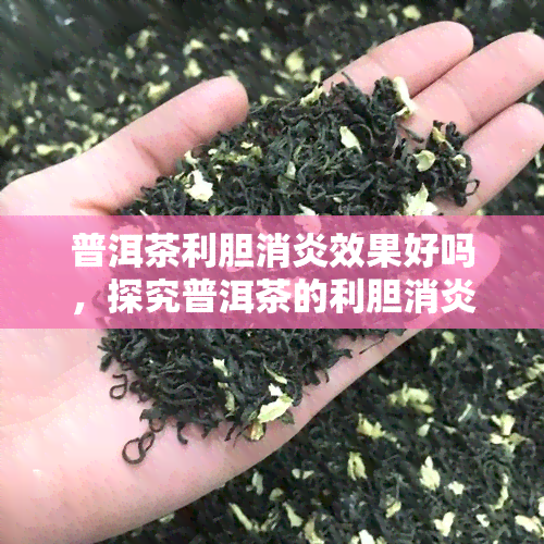 普洱茶利胆消炎效果好吗，探究普洱茶的利胆消炎功效，真的有效吗？