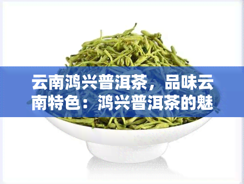 云南鸿兴普洱茶，品味云南特色：鸿兴普洱茶的魅力与故事