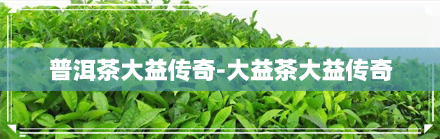 普洱茶大益传奇-大益茶大益传奇