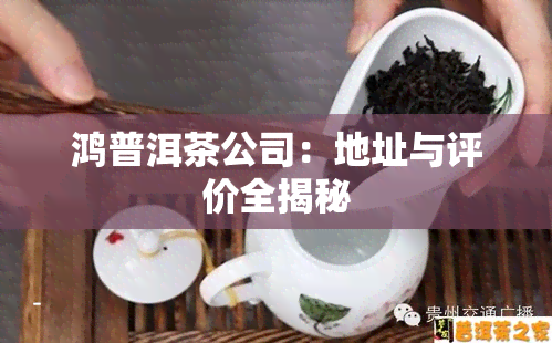 鸿普洱茶公司：地址与评价全揭秘