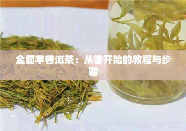 全面学普洱茶：从零开始的教程与步骤