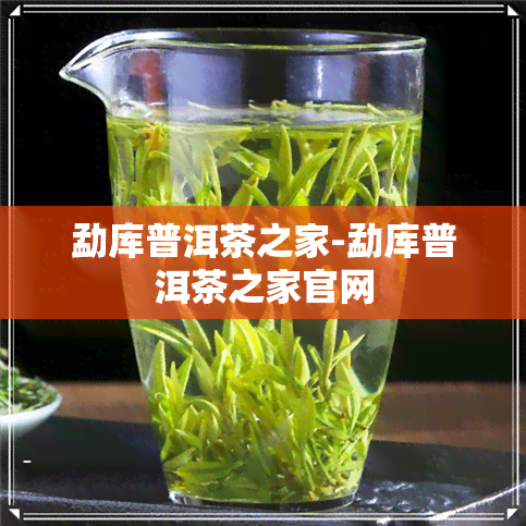 勐库普洱茶之家-勐库普洱茶之家官网