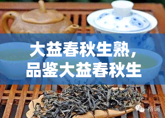 大益春秋生熟，品鉴大益春秋生熟普洱茶：口感与功效的双重享受