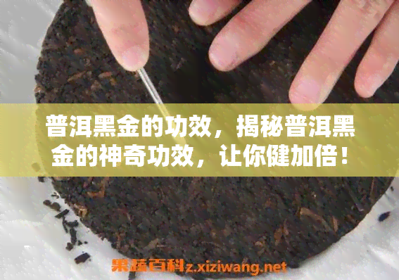 普洱黑金的功效，揭秘普洱黑金的神奇功效，让你健加倍！