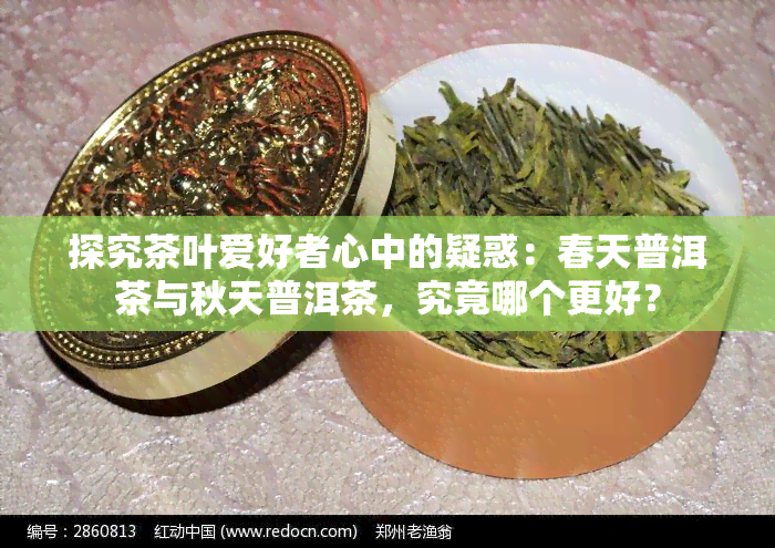 探究茶叶爱好者心中的疑惑：春天普洱茶与秋天普洱茶，究竟哪个更好？