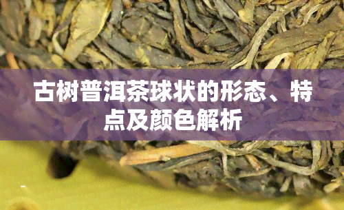 古树普洱茶球状的形态、特点及颜色解析