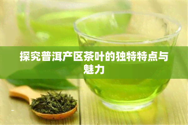 探究普洱产区茶叶的独特特点与魅力