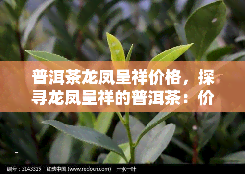 普洱茶龙凤呈祥价格，探寻龙凤呈祥的普洱茶：价格与品质解析