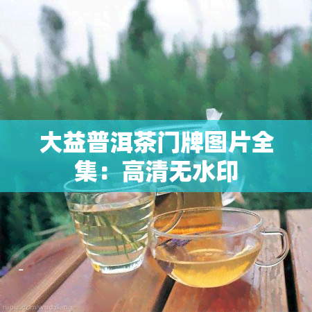 大益普洱茶门牌图片全集：高清无水印