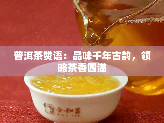 普洱茶赞语：品味千年古韵，领略茶香四溢