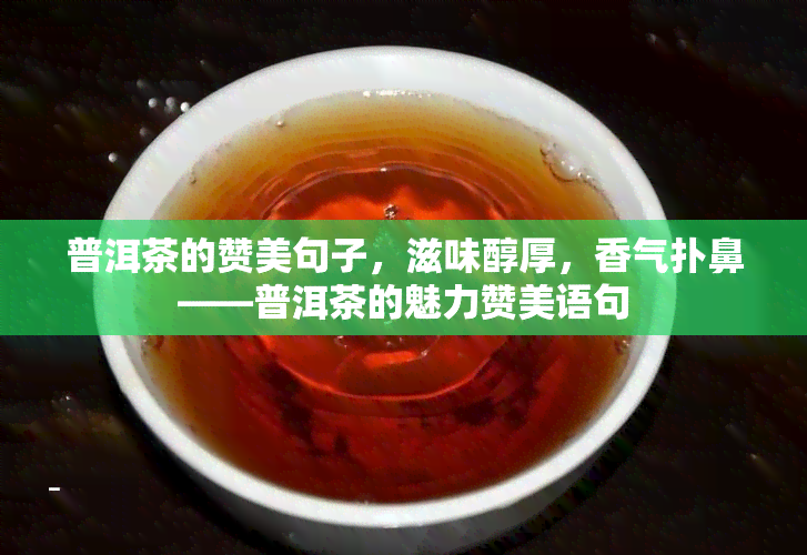 普洱茶的赞美句子，滋味醇厚，香气扑鼻——普洱茶的魅力赞美语句