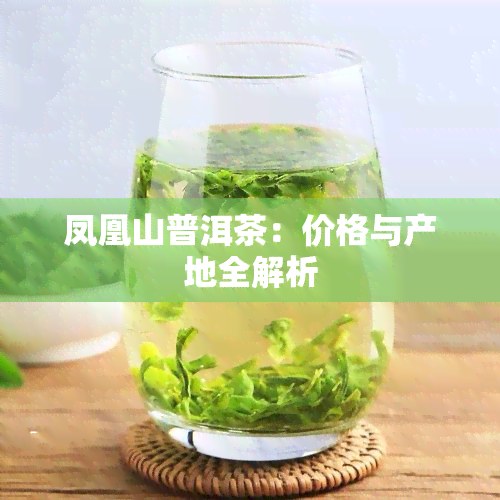 凤凰山普洱茶：价格与产地全解析