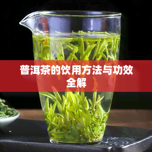 普洱茶的饮用方法与功效全解