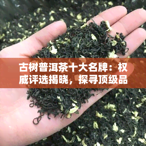 古树普洱茶十大名牌：权威评选揭晓，探寻顶级品质茶厂与产品