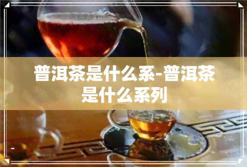 普洱茶是什么系-普洱茶是什么系列