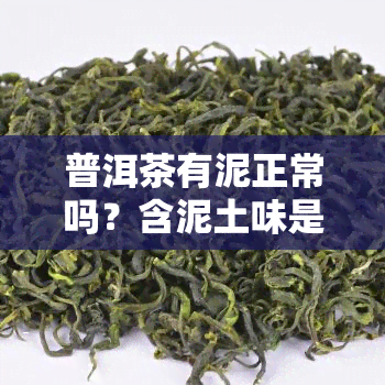 普洱茶有泥正常吗？含泥土味是否代表品质问题？