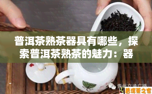 普洱茶熟茶器具有哪些，探索普洱茶熟茶的魅力：器具有哪些？