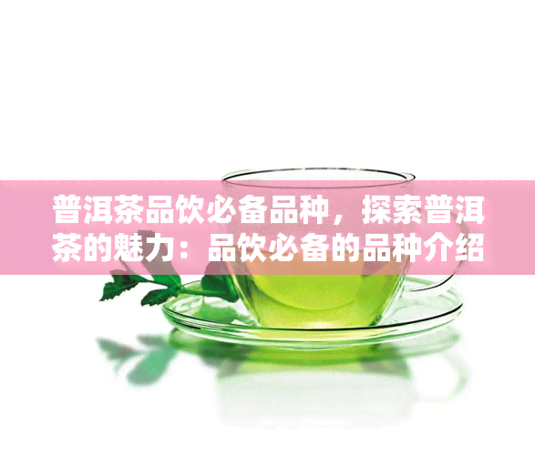 普洱茶品饮必备品种，探索普洱茶的魅力：品饮必备的品种介绍