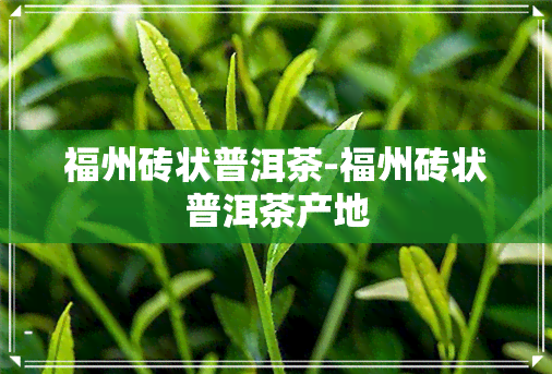 福州砖状普洱茶-福州砖状普洱茶产地