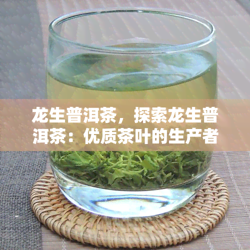 龙生普洱茶，探索龙生普洱茶：优质茶叶的生产者和供应商