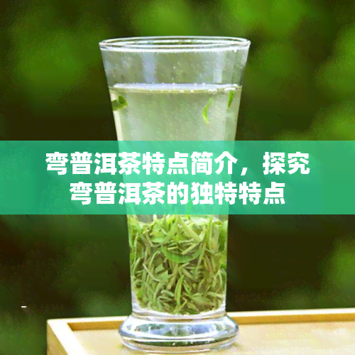 弯普洱茶特点简介，探究弯普洱茶的独特特点