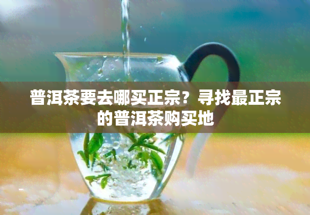 普洱茶要去哪买正宗？寻找最正宗的普洱茶购买地