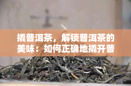 撬普洱茶，解锁普洱茶的美味：如何正确地撬开普洱茶饼？